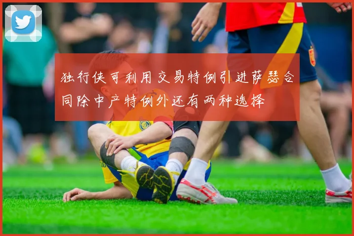 独行侠可利用交易特例引进萨瑟合同除中产特例外还有两种选择